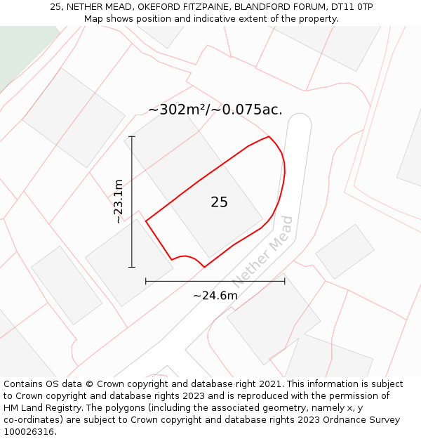 25, NETHER MEAD, OKEFORD FITZPAINE, BLANDFORD FORUM, DT11 0TP: Plot and title map