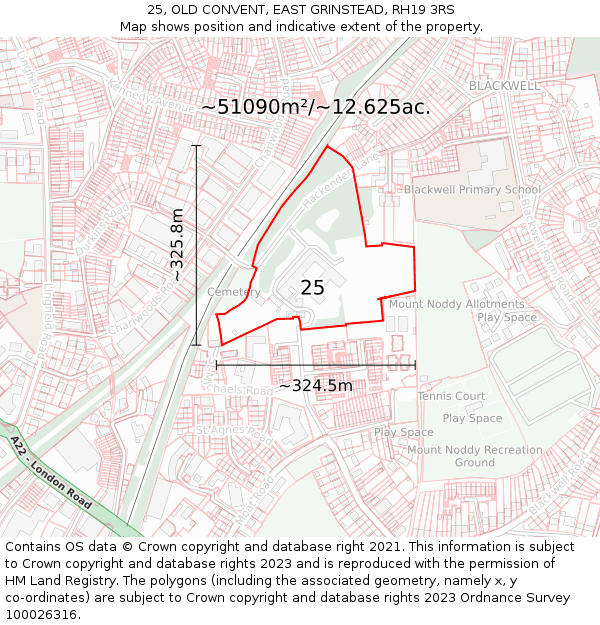 25, OLD CONVENT, EAST GRINSTEAD, RH19 3RS: Plot and title map
