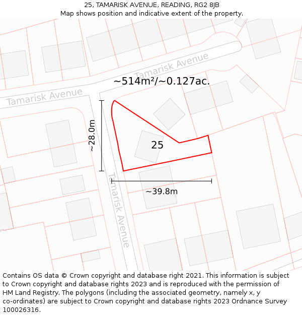25, TAMARISK AVENUE, READING, RG2 8JB: Plot and title map