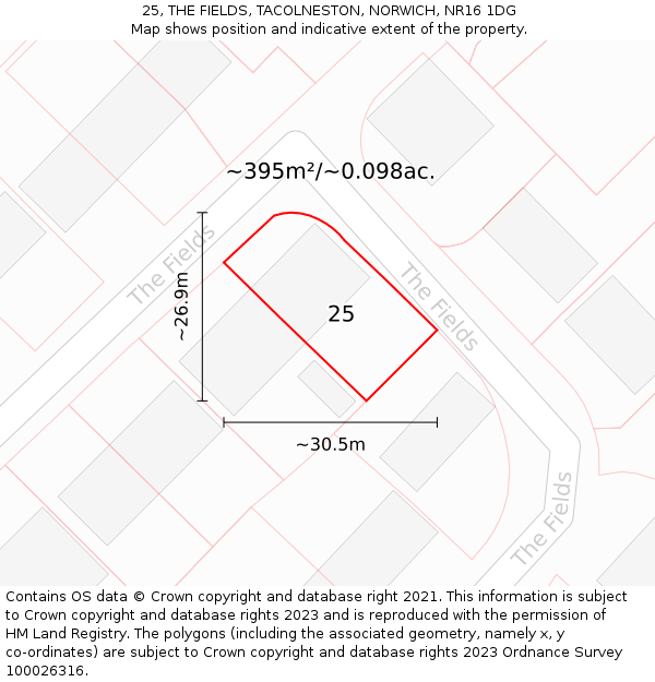 25, THE FIELDS, TACOLNESTON, NORWICH, NR16 1DG: Plot and title map