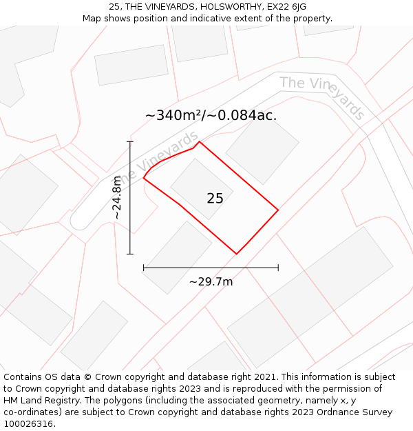 25, THE VINEYARDS, HOLSWORTHY, EX22 6JG: Plot and title map