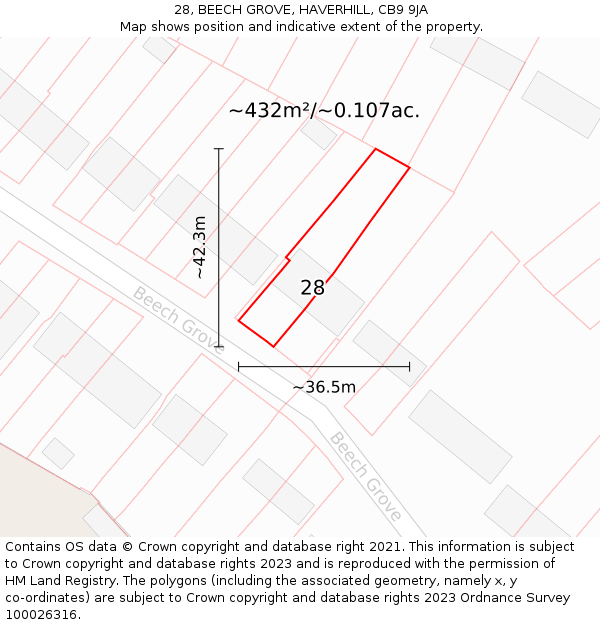 28, BEECH GROVE, HAVERHILL, CB9 9JA: Plot and title map