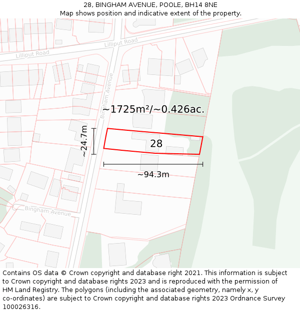 28, BINGHAM AVENUE, POOLE, BH14 8NE: Plot and title map