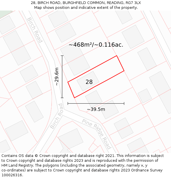28, BIRCH ROAD, BURGHFIELD COMMON, READING, RG7 3LX: Plot and title map