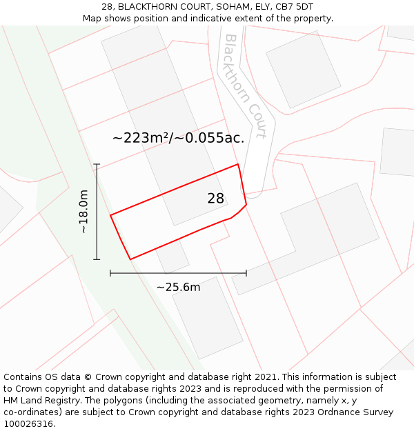 28, BLACKTHORN COURT, SOHAM, ELY, CB7 5DT: Plot and title map