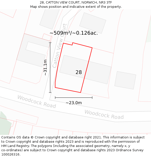 28, CATTON VIEW COURT, NORWICH, NR3 3TF: Plot and title map