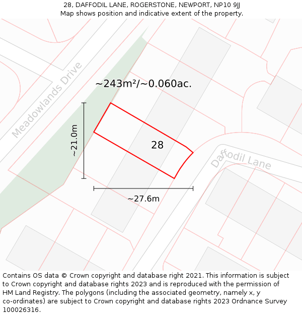 28, DAFFODIL LANE, ROGERSTONE, NEWPORT, NP10 9JJ: Plot and title map
