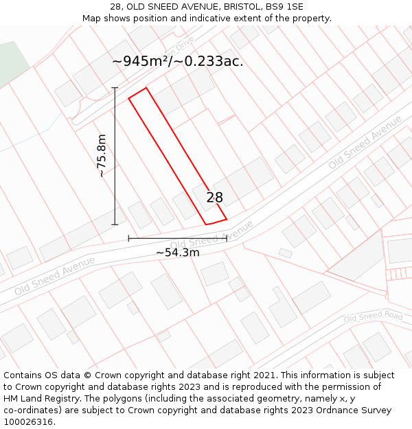 28, OLD SNEED AVENUE, BRISTOL, BS9 1SE: Plot and title map