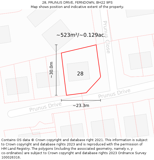 28, PRUNUS DRIVE, FERNDOWN, BH22 9PS: Plot and title map