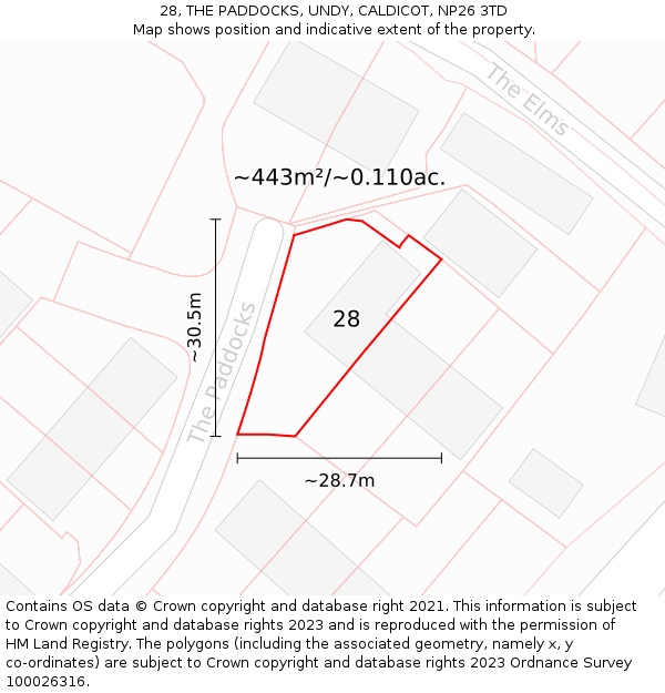 28, THE PADDOCKS, UNDY, CALDICOT, NP26 3TD: Plot and title map