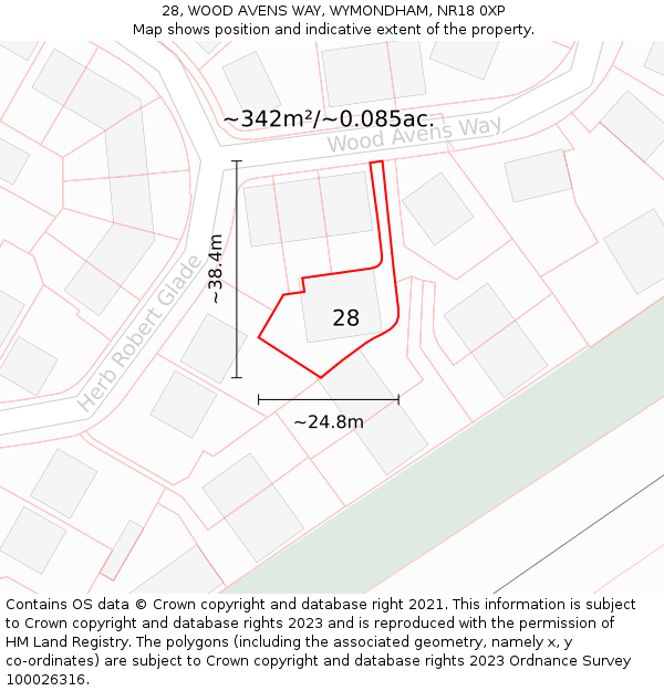 28, WOOD AVENS WAY, WYMONDHAM, NR18 0XP: Plot and title map