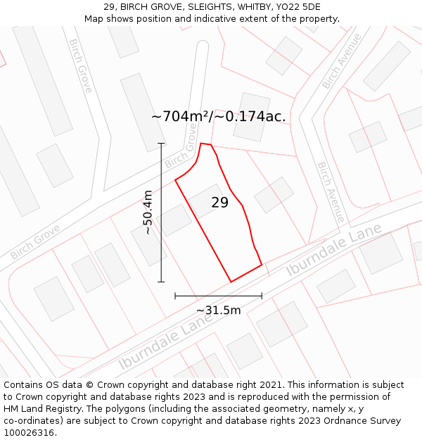 29, BIRCH GROVE, SLEIGHTS, WHITBY, YO22 5DE: Plot and title map