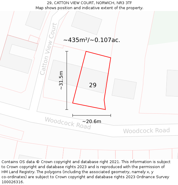 29, CATTON VIEW COURT, NORWICH, NR3 3TF: Plot and title map