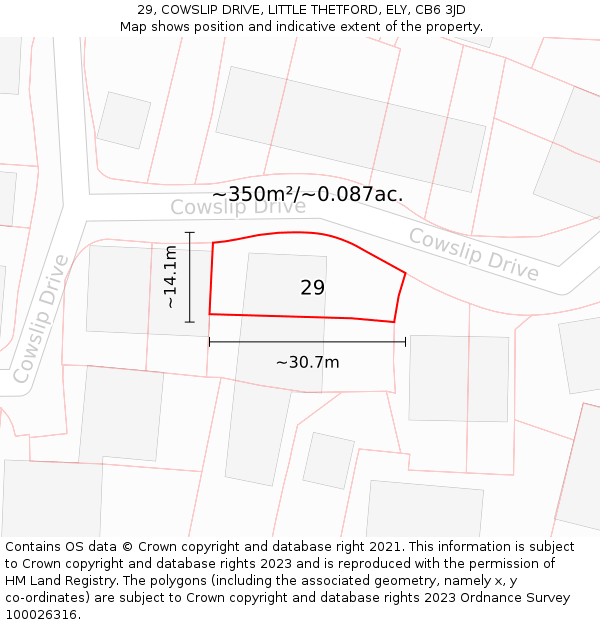 29, COWSLIP DRIVE, LITTLE THETFORD, ELY, CB6 3JD: Plot and title map