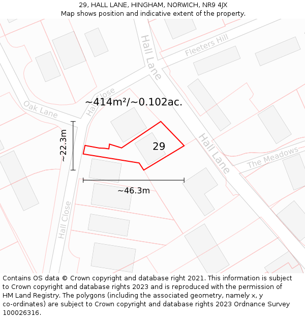 29, HALL LANE, HINGHAM, NORWICH, NR9 4JX: Plot and title map