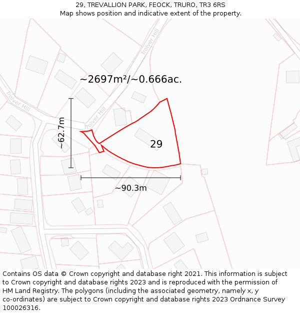 29, TREVALLION PARK, FEOCK, TRURO, TR3 6RS: Plot and title map