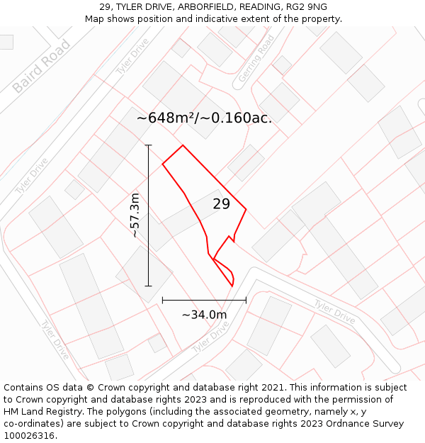 29, TYLER DRIVE, ARBORFIELD, READING, RG2 9NG: Plot and title map