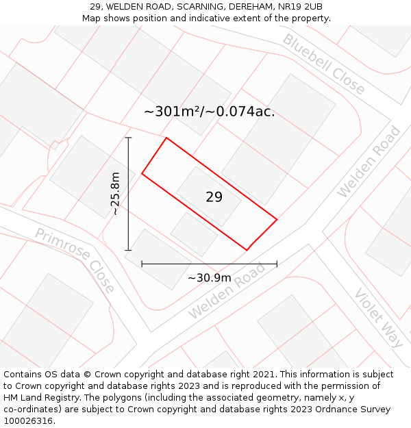 29, WELDEN ROAD, SCARNING, DEREHAM, NR19 2UB: Plot and title map