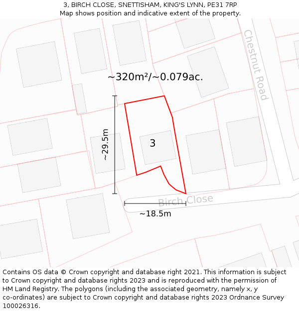 3, BIRCH CLOSE, SNETTISHAM, KING'S LYNN, PE31 7RP: Plot and title map