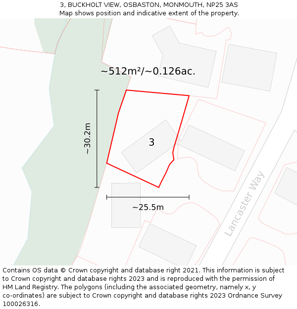 3, BUCKHOLT VIEW, OSBASTON, MONMOUTH, NP25 3AS: Plot and title map