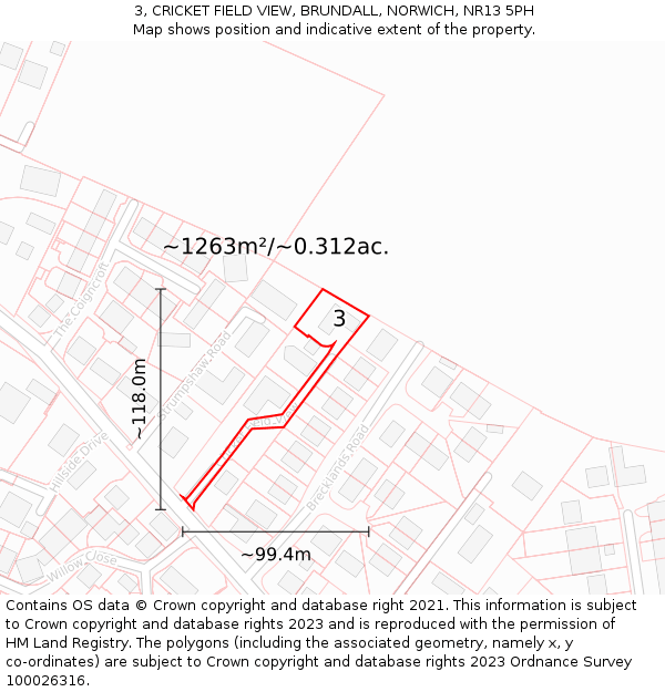 3, CRICKET FIELD VIEW, BRUNDALL, NORWICH, NR13 5PH: Plot and title map