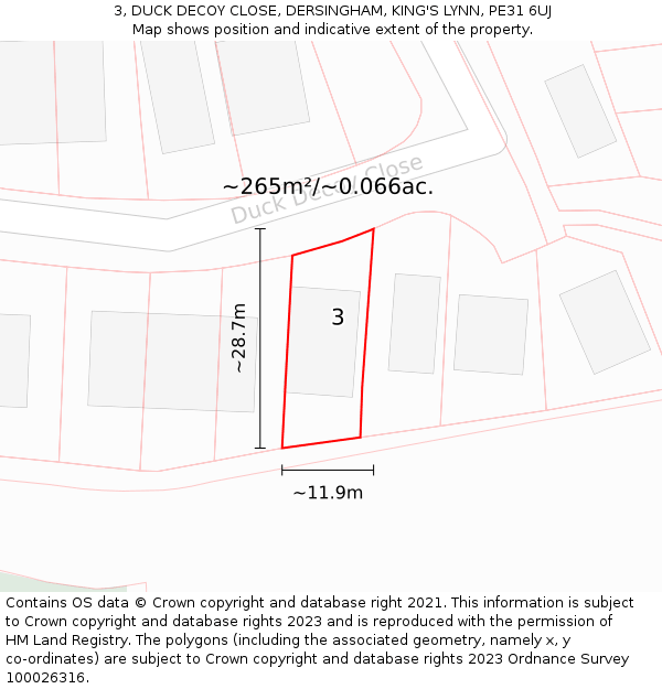 3, DUCK DECOY CLOSE, DERSINGHAM, KING'S LYNN, PE31 6UJ: Plot and title map