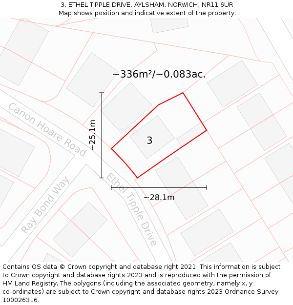 3, ETHEL TIPPLE DRIVE, AYLSHAM, NORWICH, NR11 6UR: Plot and title map