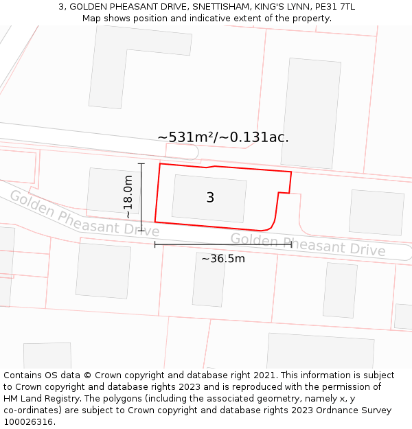 3, GOLDEN PHEASANT DRIVE, SNETTISHAM, KING'S LYNN, PE31 7TL: Plot and title map