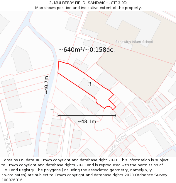 3, MULBERRY FIELD, SANDWICH, CT13 9DJ: Plot and title map