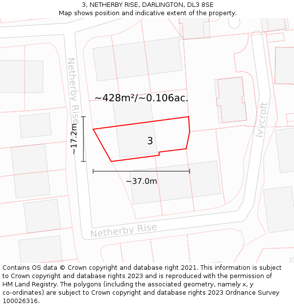 3, NETHERBY RISE, DARLINGTON, DL3 8SE: Plot and title map