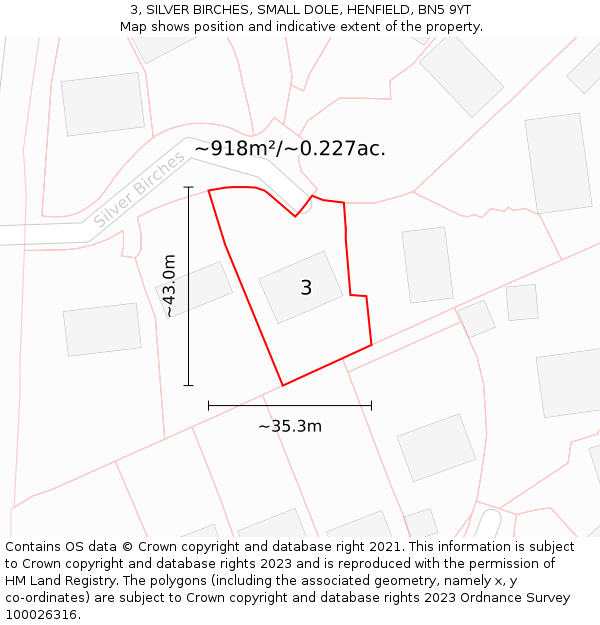 3, SILVER BIRCHES, SMALL DOLE, HENFIELD, BN5 9YT: Plot and title map