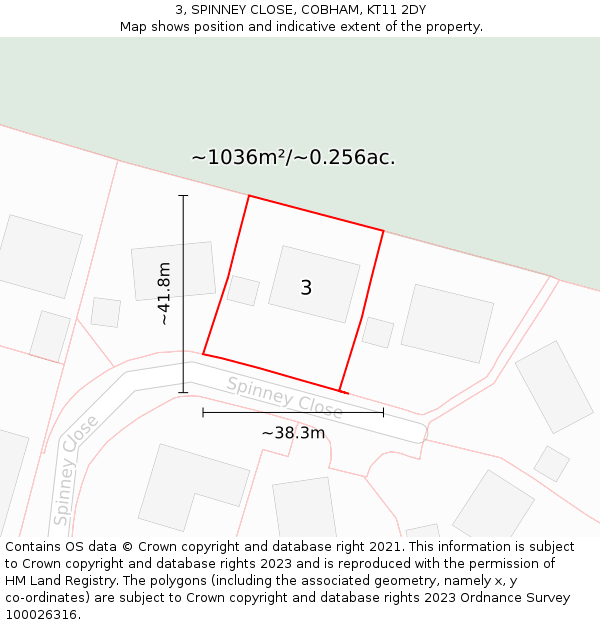 3, SPINNEY CLOSE, COBHAM, KT11 2DY: Plot and title map