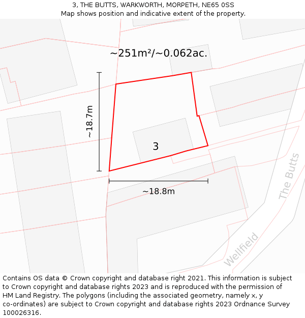 3, THE BUTTS, WARKWORTH, MORPETH, NE65 0SS: Plot and title map
