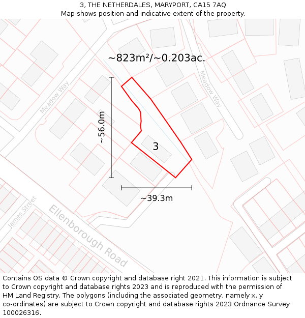 3, THE NETHERDALES, MARYPORT, CA15 7AQ: Plot and title map