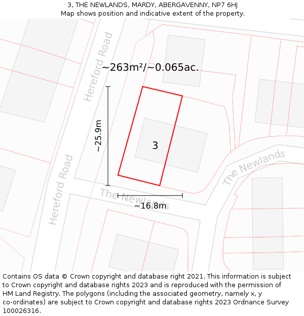 3, THE NEWLANDS, MARDY, ABERGAVENNY, NP7 6HJ: Plot and title map