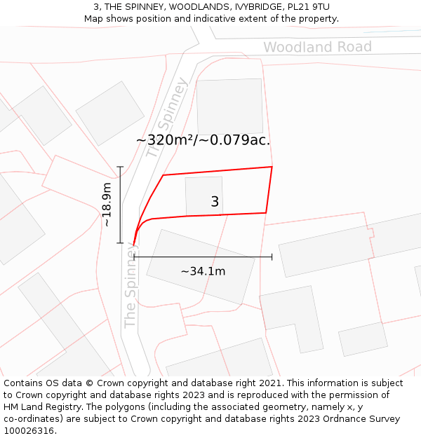 3, THE SPINNEY, WOODLANDS, IVYBRIDGE, PL21 9TU: Plot and title map