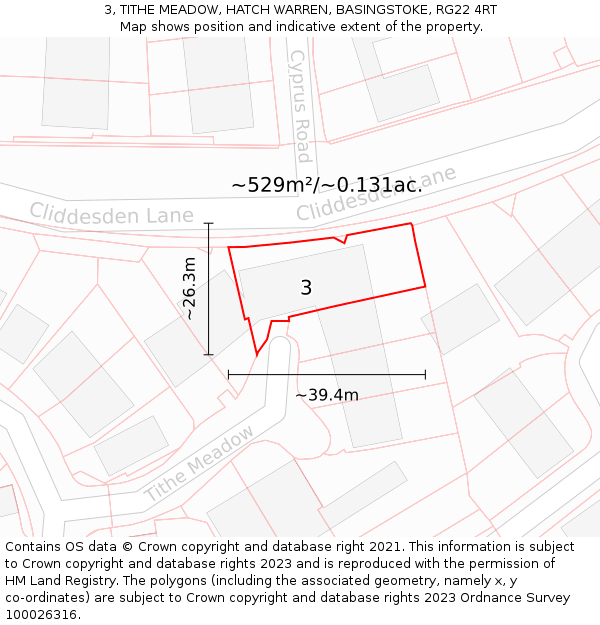 3, TITHE MEADOW, HATCH WARREN, BASINGSTOKE, RG22 4RT: Plot and title map