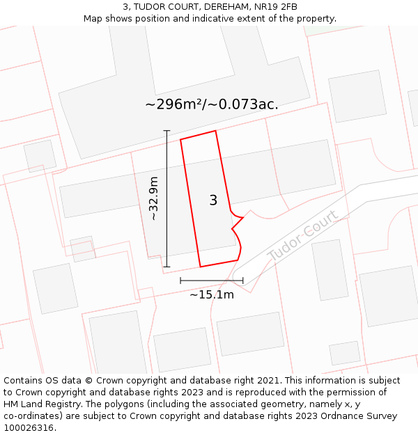 3, TUDOR COURT, DEREHAM, NR19 2FB: Plot and title map
