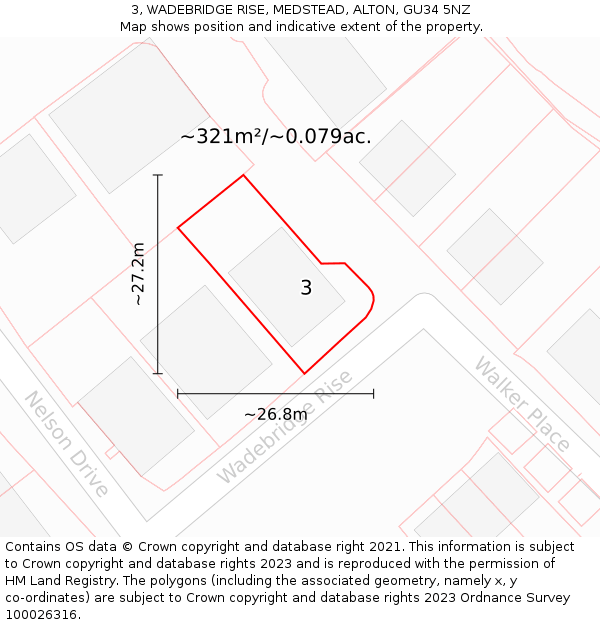 3, WADEBRIDGE RISE, MEDSTEAD, ALTON, GU34 5NZ: Plot and title map