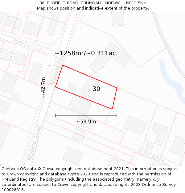 30, BLOFIELD ROAD, BRUNDALL, NORWICH, NR13 5NN: Plot and title map