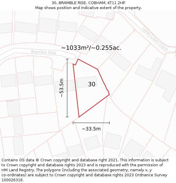 30, BRAMBLE RISE, COBHAM, KT11 2HP: Plot and title map