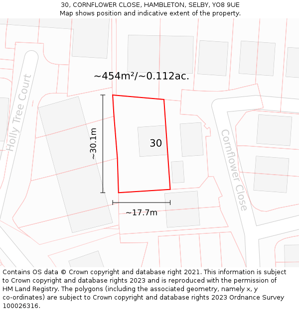 30, CORNFLOWER CLOSE, HAMBLETON, SELBY, YO8 9UE: Plot and title map