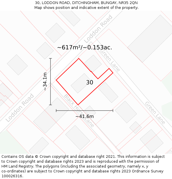 30, LODDON ROAD, DITCHINGHAM, BUNGAY, NR35 2QN: Plot and title map