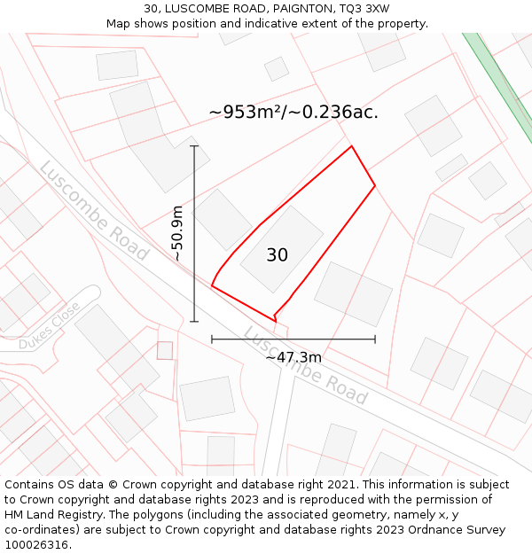 30, LUSCOMBE ROAD, PAIGNTON, TQ3 3XW: Plot and title map