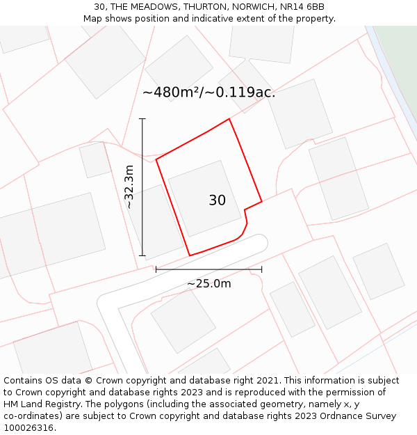 30, THE MEADOWS, THURTON, NORWICH, NR14 6BB: Plot and title map