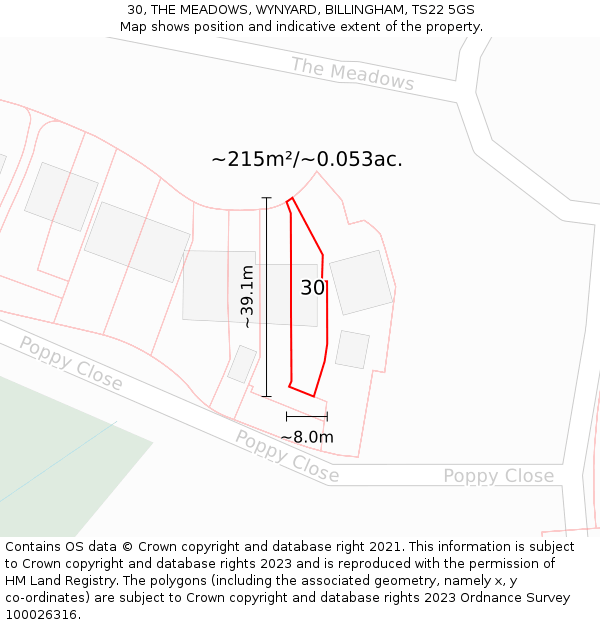 30, THE MEADOWS, WYNYARD, BILLINGHAM, TS22 5GS: Plot and title map