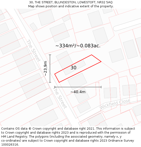 30, THE STREET, BLUNDESTON, LOWESTOFT, NR32 5AQ: Plot and title map