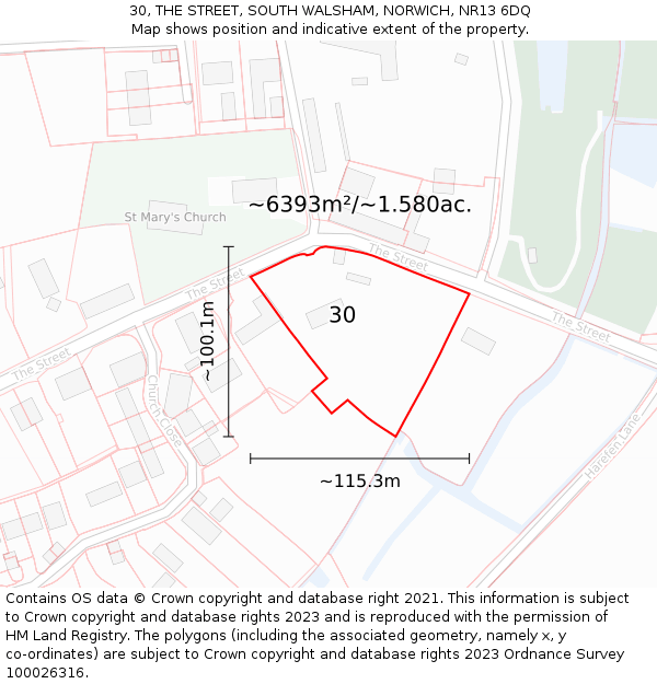 30, THE STREET, SOUTH WALSHAM, NORWICH, NR13 6DQ: Plot and title map