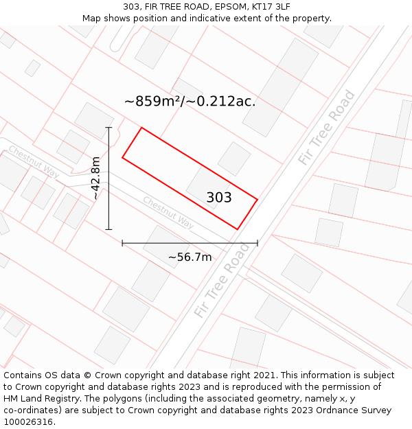 303, FIR TREE ROAD, EPSOM, KT17 3LF: Plot and title map