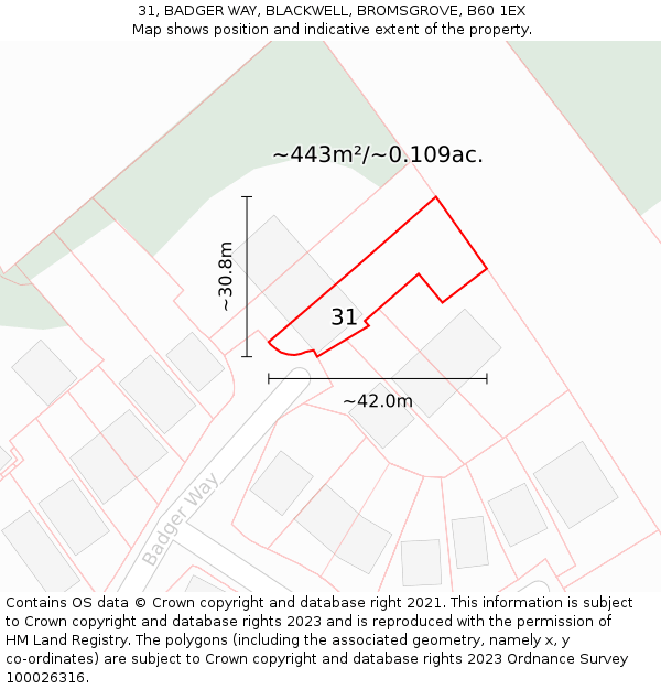31, BADGER WAY, BLACKWELL, BROMSGROVE, B60 1EX: Plot and title map